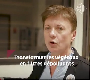 Région - février 2021.png