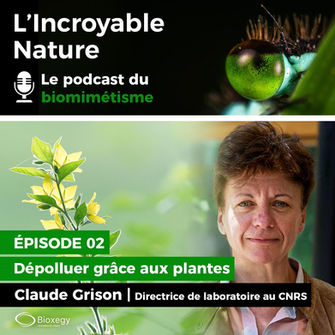 L'incroyable Nature - Le podcast du biomimétisme