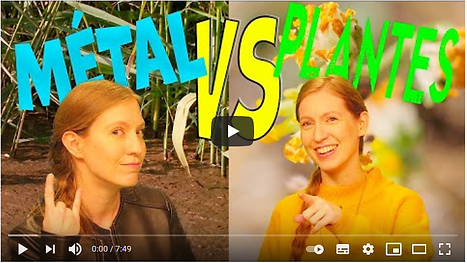 METAL versus PLANTES.png