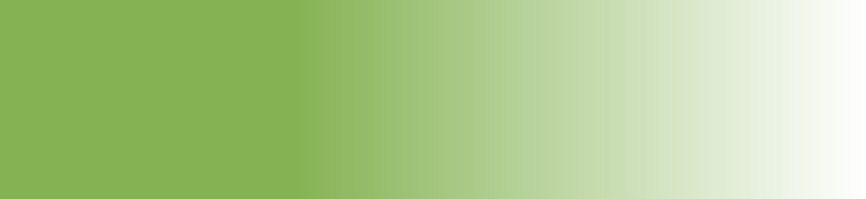 bandeau vert blanc dégradé droite2.png