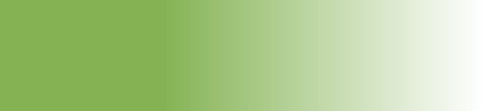 bandeau vert blanc dégradé droite2.png