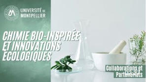 Chimie bio-inspirée et innovations écologiques