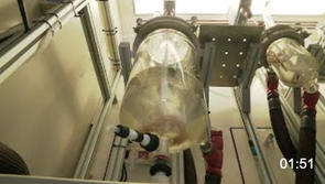 Une chimiste, chercheuse au CNRS de Montpellier, reÃƒÂ Ã‚Â§oit le prix du meilleur inventeur européen 2022