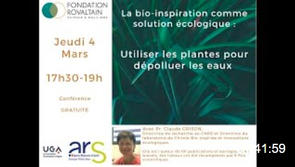 La bio-inspiration comme solution écologique : utiliser les plantes pour dépolluer les eaux